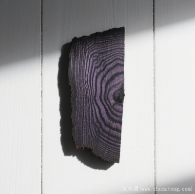 木材基础知识17--铅木